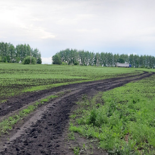 Велопрогулки