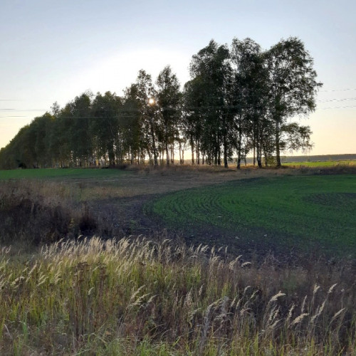 Велопрогулки