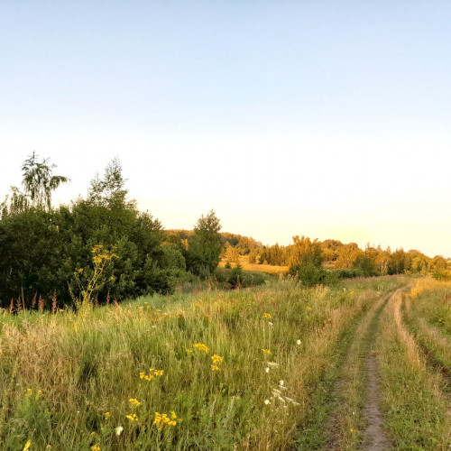 Велопрогулки