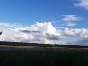 Жизнь при царе Горохе. Часть 3