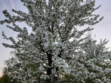 Семья – дело святое. Часть 18