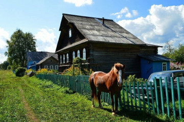 Семья – дело святое. Часть 25